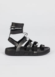 Ari Sandal