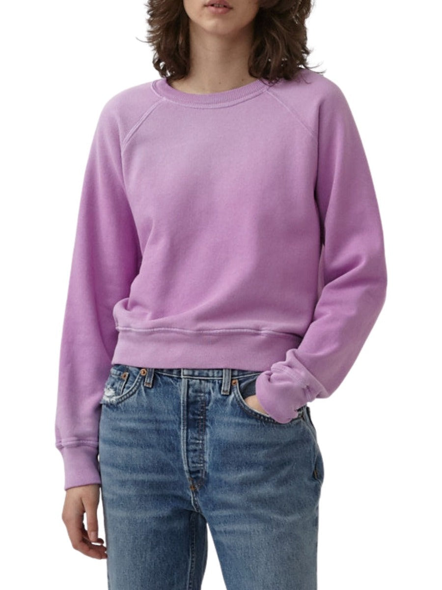 X Hanes Classic Raglan Sweater - Blossom