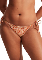 String Brief Starflower