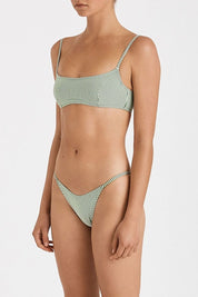 Green Stripe Curved String Brief Green Stripe